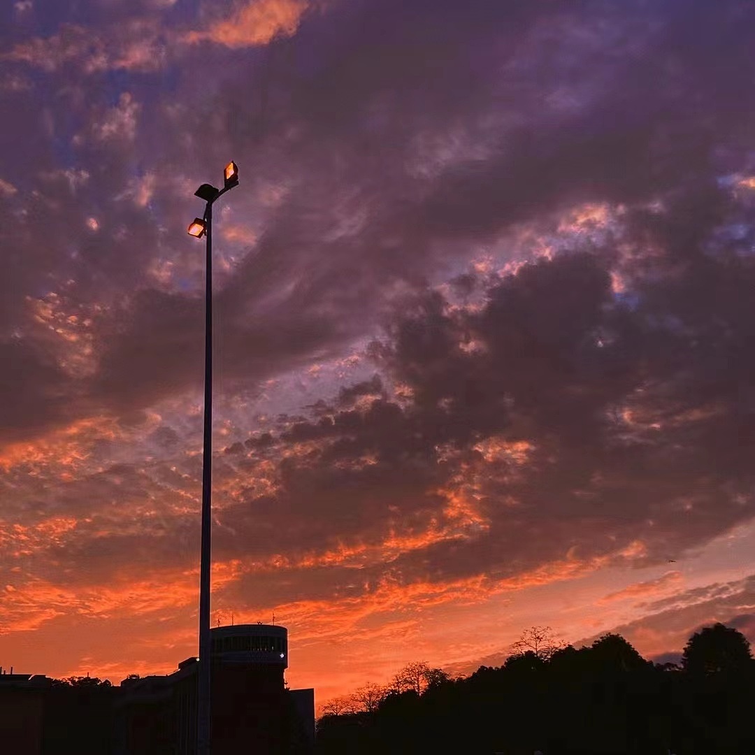 我在人间追逐日落