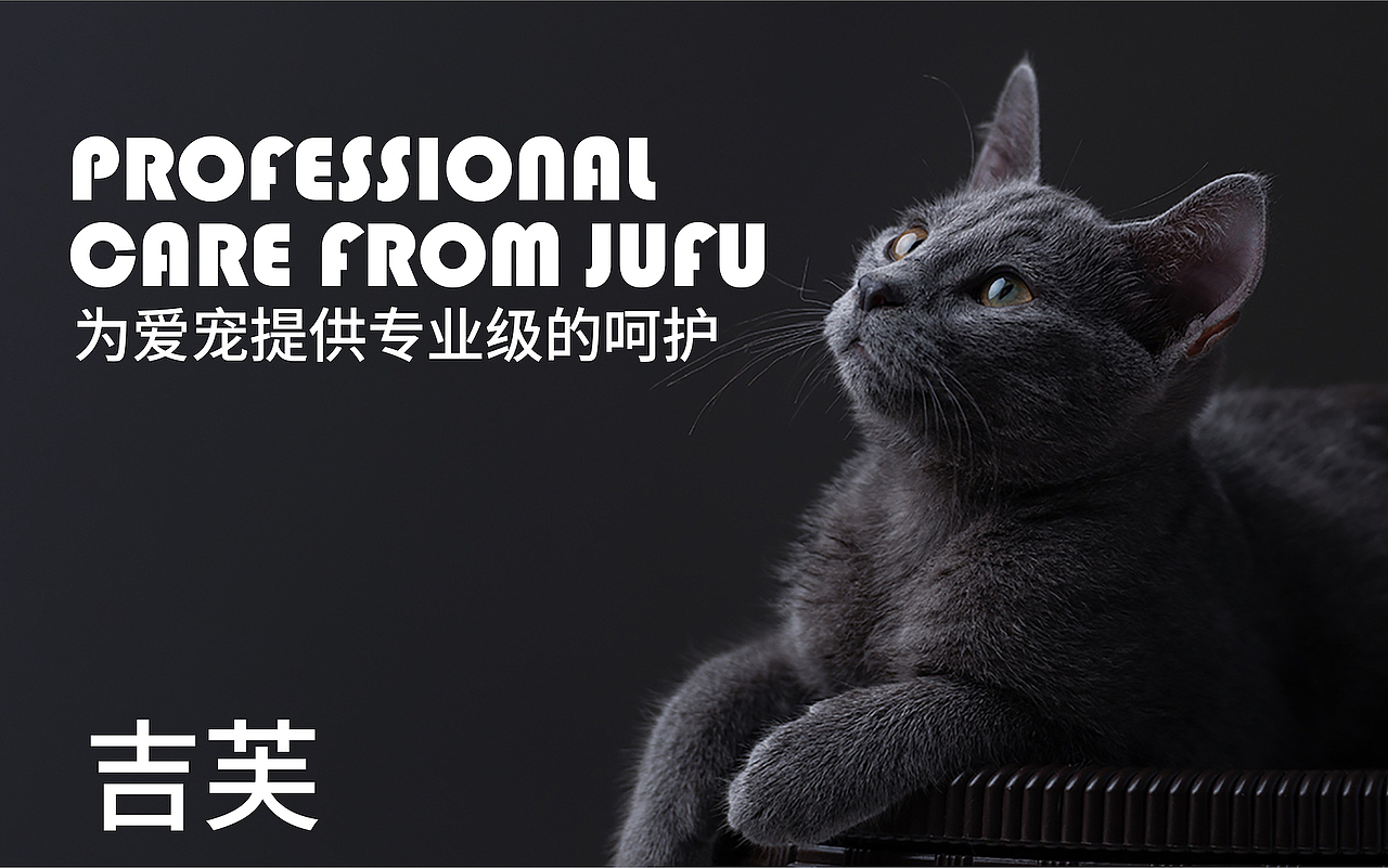 【壹素视觉 | 吉芙】 宠物猫砂包装设计宠物用品抽象