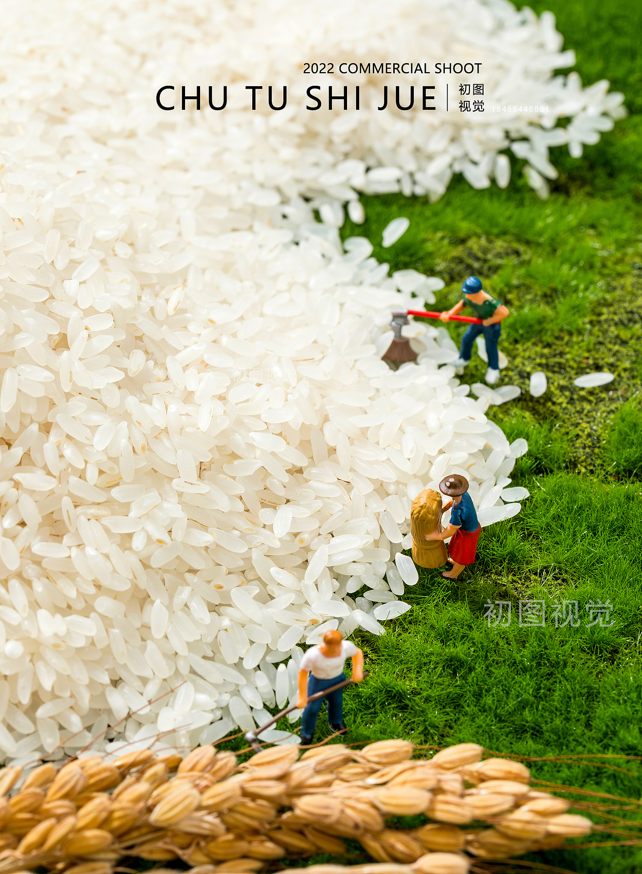 初图 | 五常原芽大米拍摄 ✖ 应物白