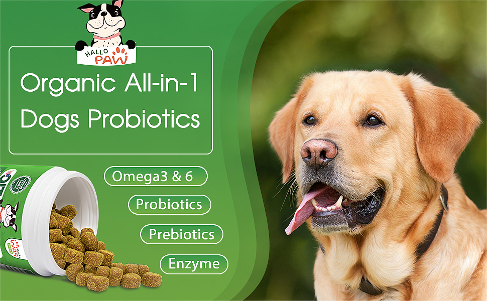 狗益生菌（图ZMzI2NDc2OTcy） - 其他平面 - 站酷设计师SUN文思原创素材 - 站酷ZCOOL