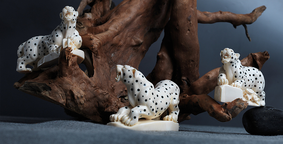 【保护大象,请选择猛犸象牙】