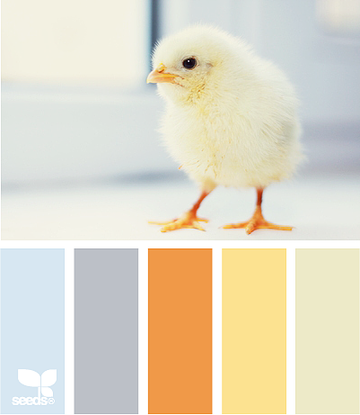 美丽的配色卡啊——04