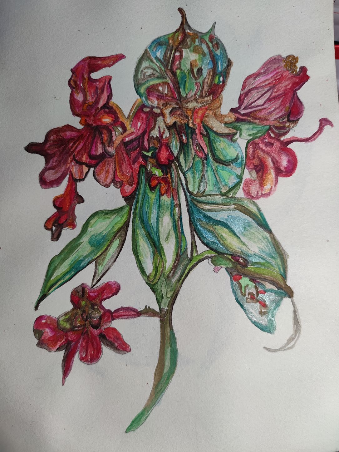 蜉蝣解语(临摹)