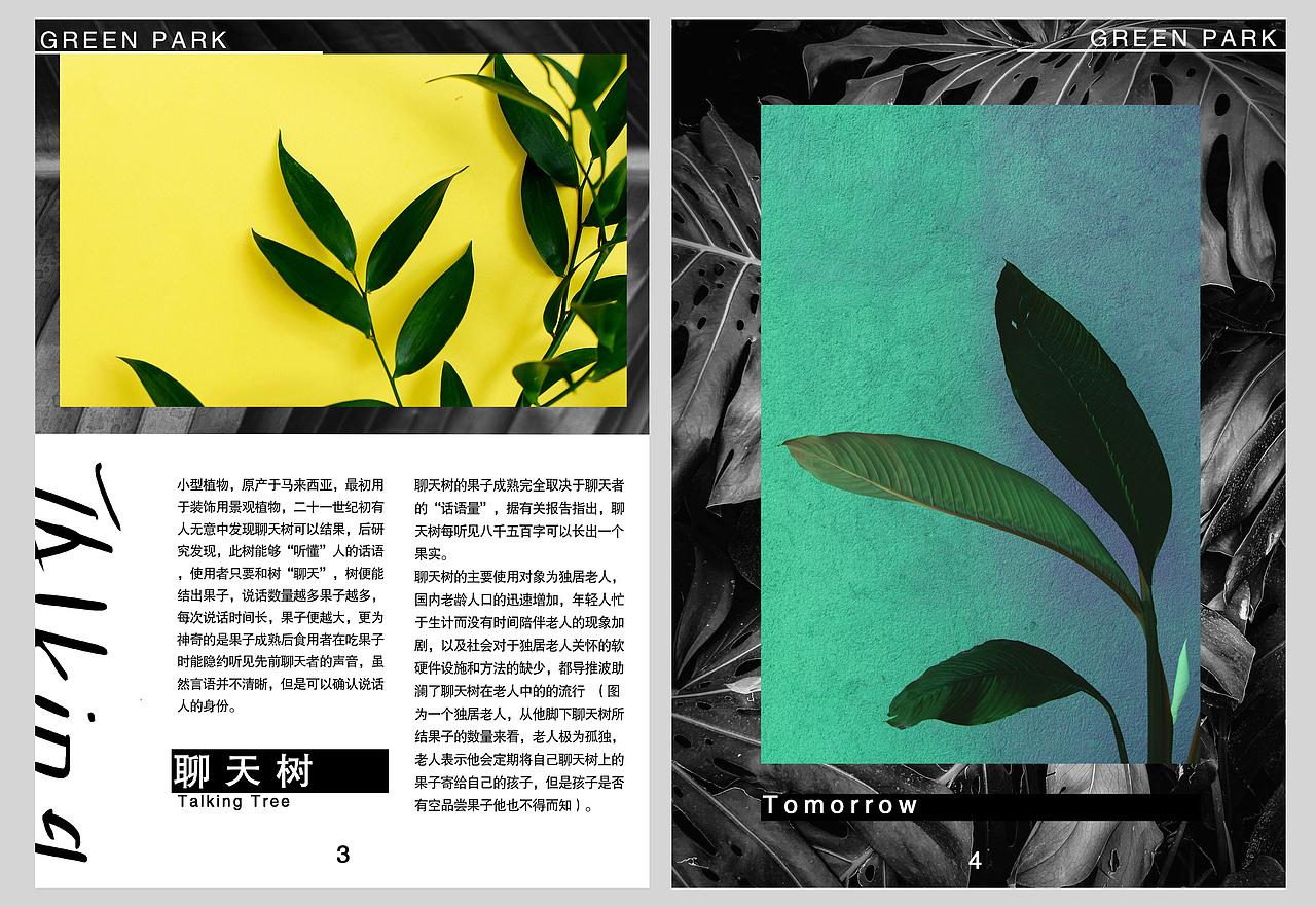 画册排版（图ZMjA1MjMxMTQ0） - 书籍/画册 - 站酷设计师一口虾仁酱原创素材 - 站酷ZCOOL
