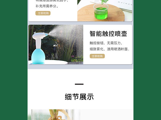 高透玻璃杯绿植