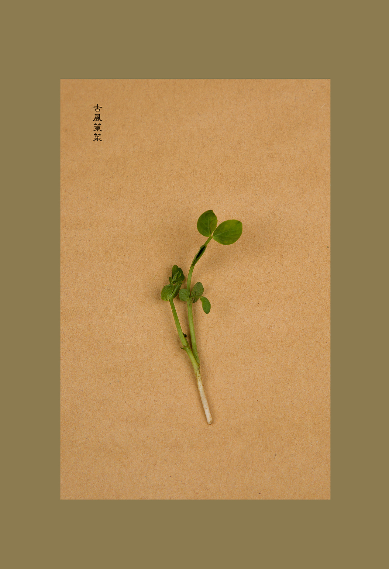 古風(fēng)食意（圖ZNjE4MDI5NTI=） - 產(chǎn)品攝影 - 站酷設(shè)計(jì)師蔣小那原創(chuàng)素材 - 站酷ZCOOL