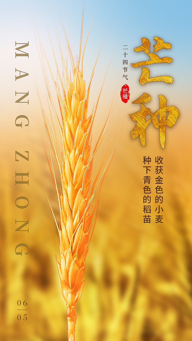 二十四节气金黄色小麦创意芒种海报启动页