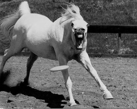 蓝帽正弟的个人主页（背景预览） - 主页背景设置 - 站酷设计师蓝帽正弟原创素材 - 站酷ZCOOL