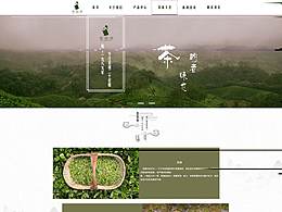 茶网页