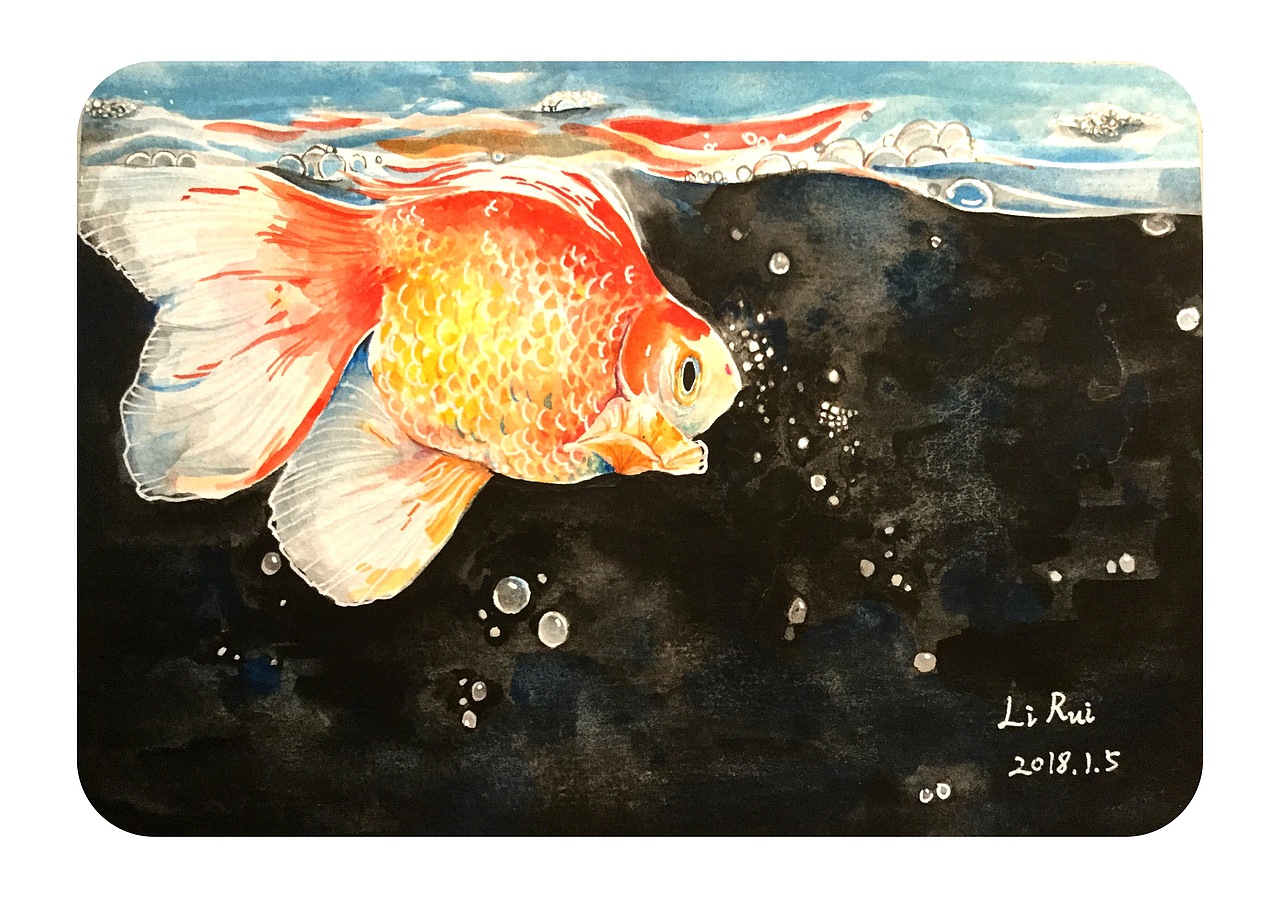 鱼（图ZMTYxNjI0MzUy） - 绘画 - 站酷设计师我不吃猪猪原创素材 - 站酷ZCOOL