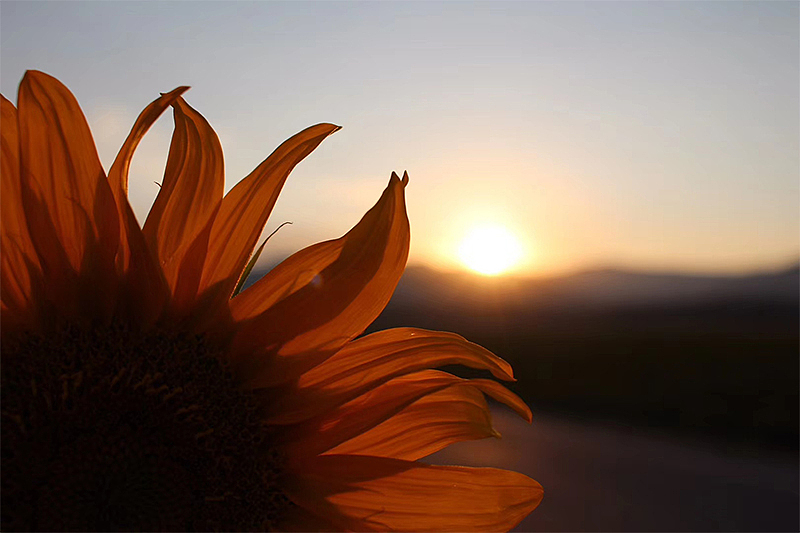 摄影（图ZMTgxMzM5Mzk2） - 风光摄影 - 站酷设计师未知数Li原创素材 - 站酷ZCOOL