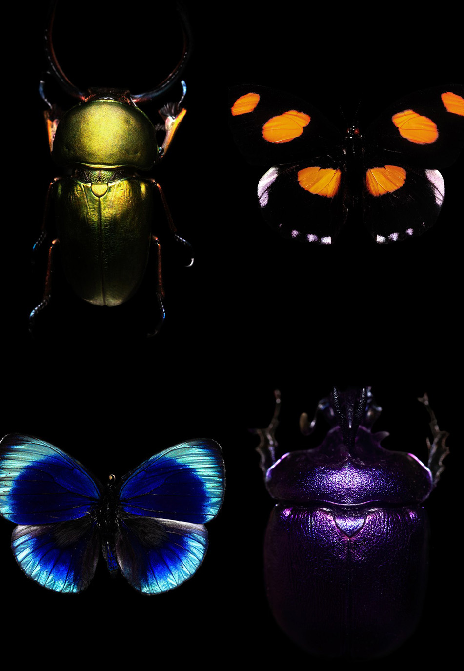 JJX2514的個人主頁（背景預覽） - 主頁背景設(shè)置 - 站酷設(shè)計師JJX2514原創(chuàng)素材 - 站酷ZCOOL