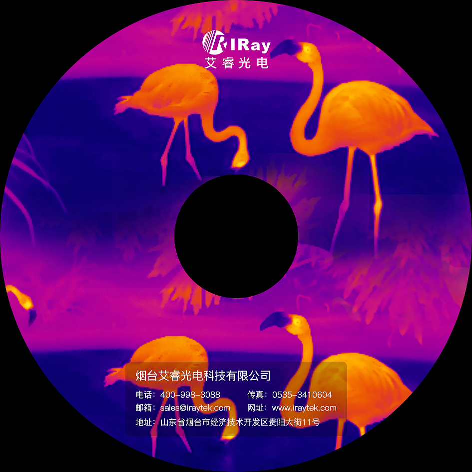 CD设计（图ZMTYyNzYyNDEy） - 宣传物料 - 站酷设计师龙魁儿原创素材 - 站酷ZCOOL