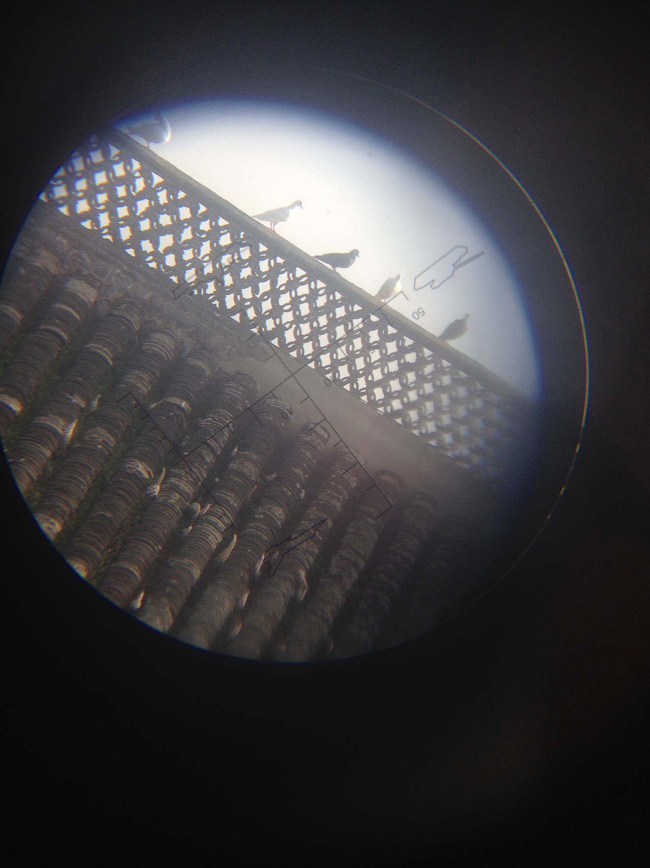 秋天的好天气~~#出发的勇气2014#