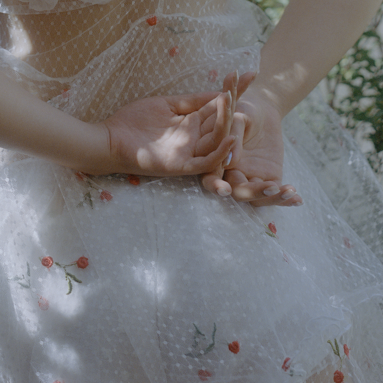 「胶片」「风来临」