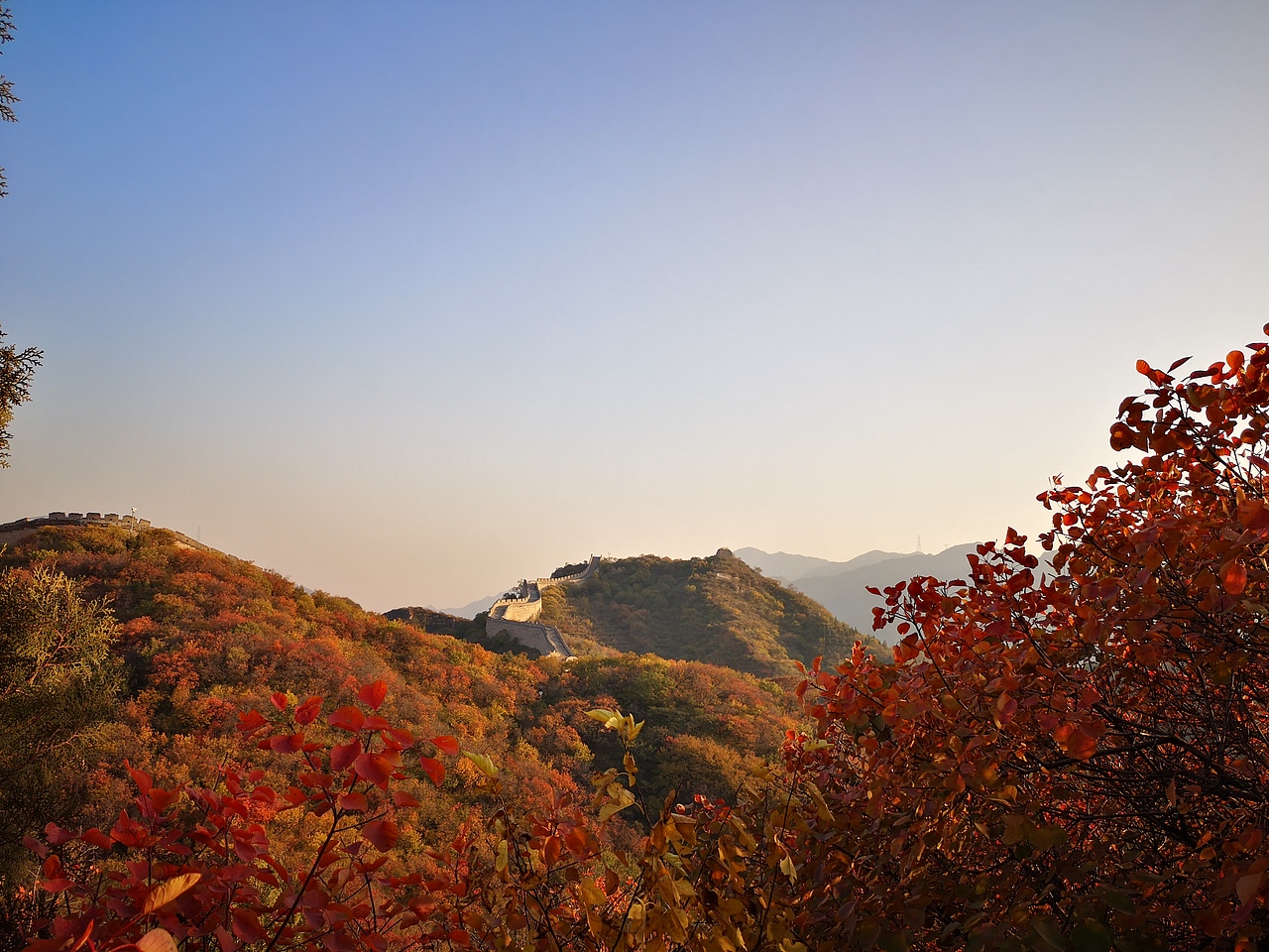 漫山红遍（图ZMTgyMzQxMTYw） - 风光摄影 - 站酷设计师小甜甜七里香原创素材 - 站酷ZCOOL