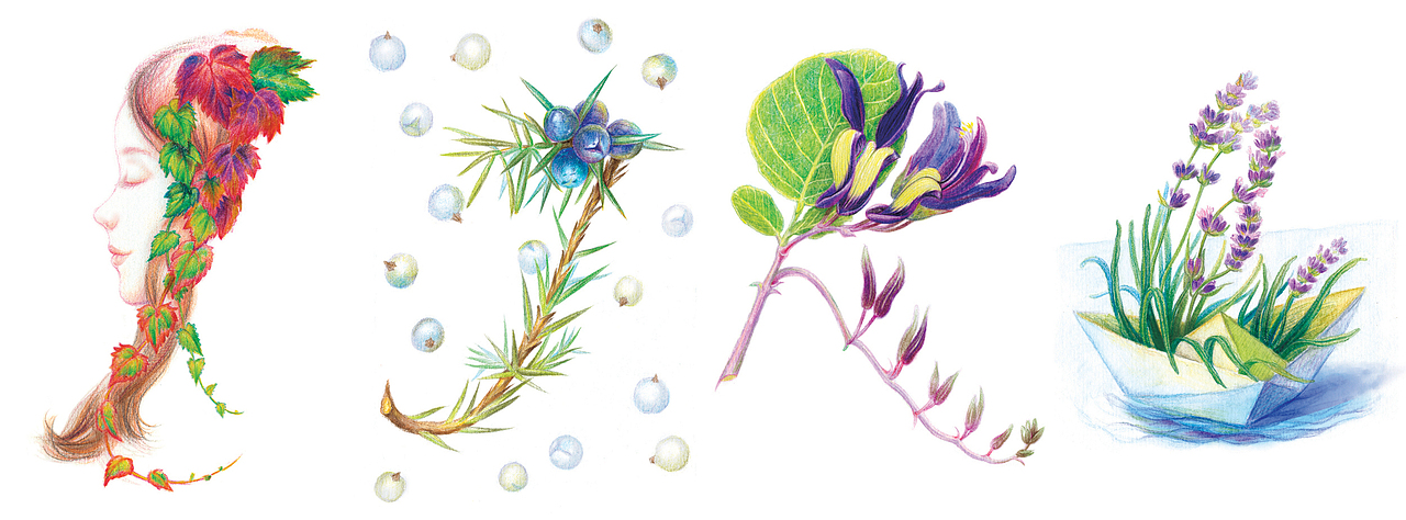 26个字母和花朵设计（图ZMzY4OTcyNTI=） - 商业插画 - 站酷设计师陆薇尔原创素材 - 站酷ZCOOL