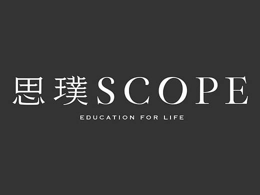 思璞(SCOPE)品牌全案