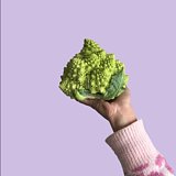 王六一HelenW的头像
