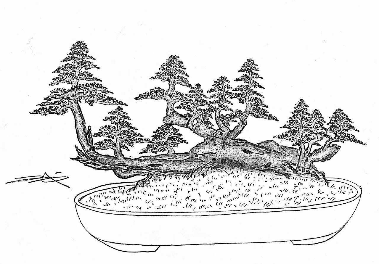 吕绍武手绘盆景设计效果图（图ZMTY4MDkwODgw） - 绘画 - 站酷设计师慧武原创素材 - 站酷ZCOOL