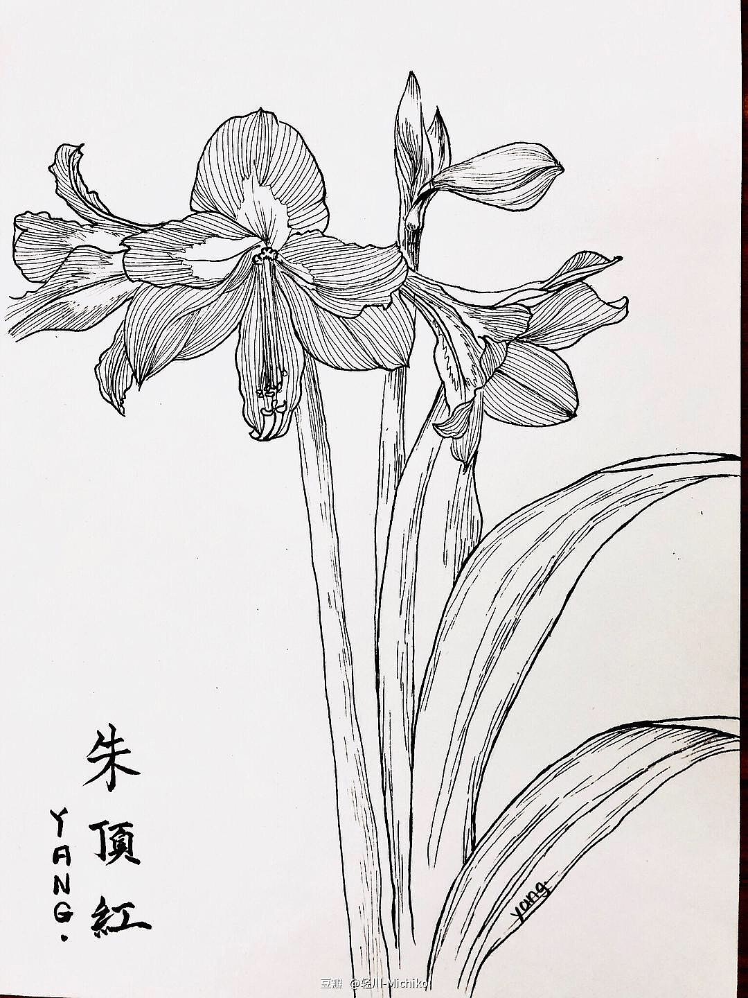 画过的部分春夏秋冬的花（图ZMTcwNjcyOTM2） - 像素画 - 站酷设计师UranX柚原创素材 - 站酷ZCOOL