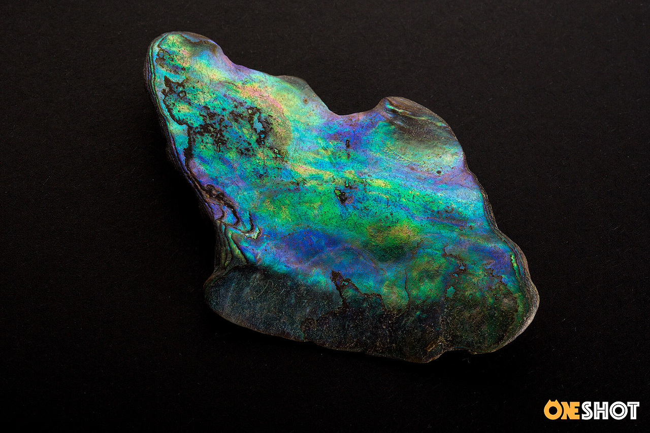 一些化石和矿石（图ZMTM4NTYzMTI0） - 产品摄影 - 站酷设计师WildKay原创素材 - 站酷ZCOOL