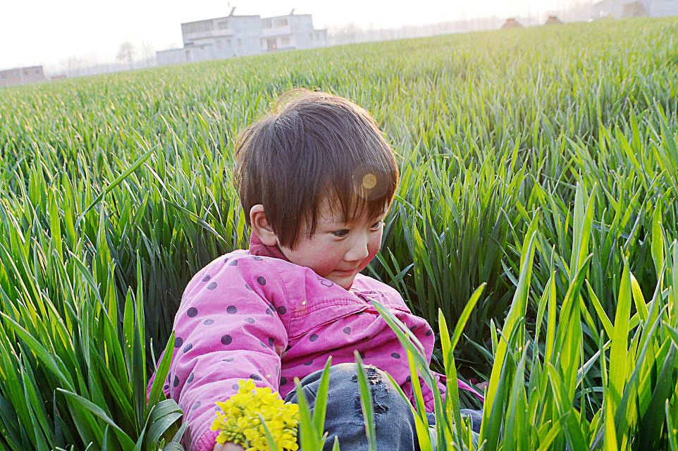 麦田里的小菇凉