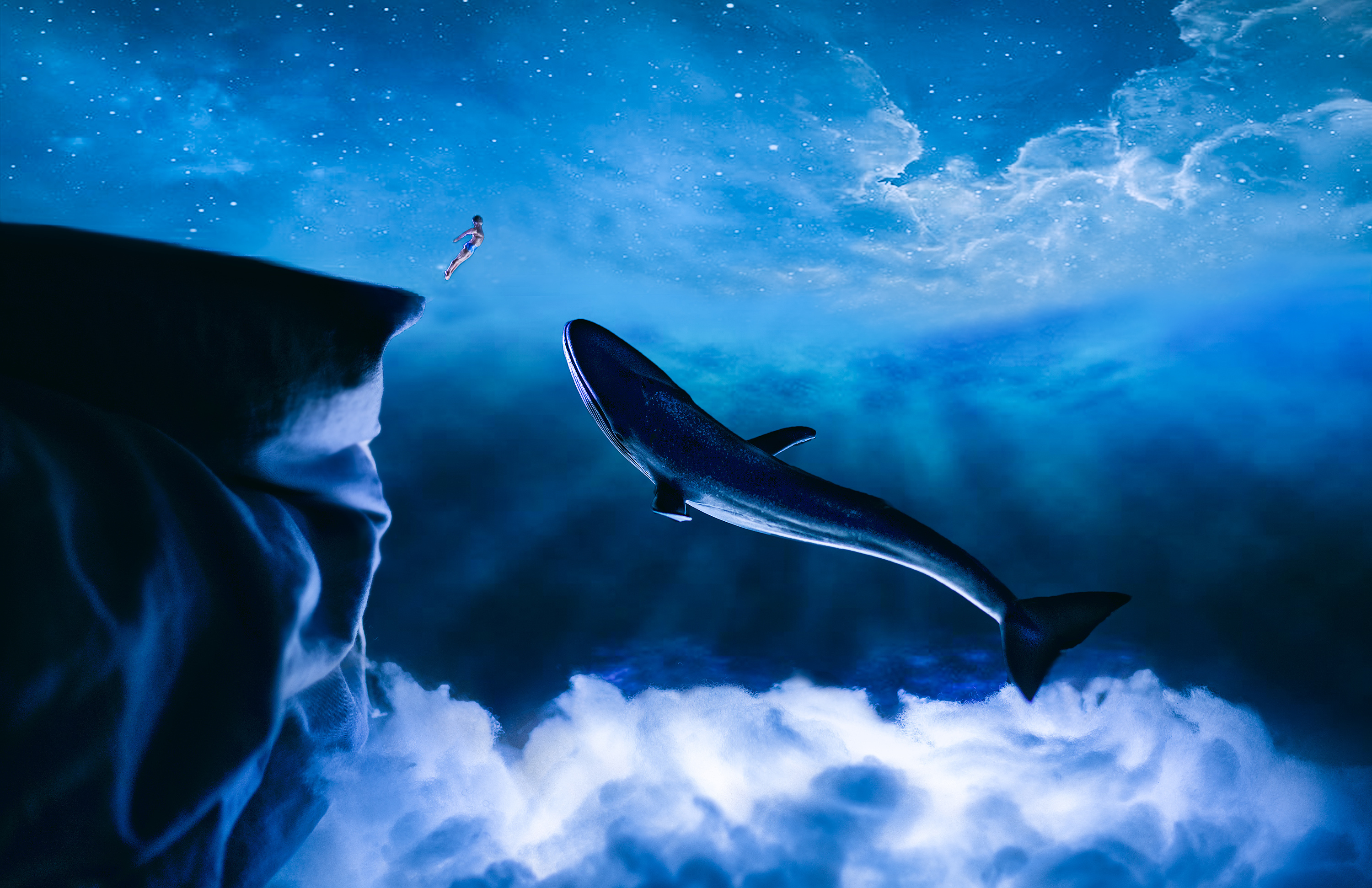 相片临摹 数码绘 深海鲸鱼|插画|创作习作|donster - 原创作品 - 站酷 (ZCOOL)