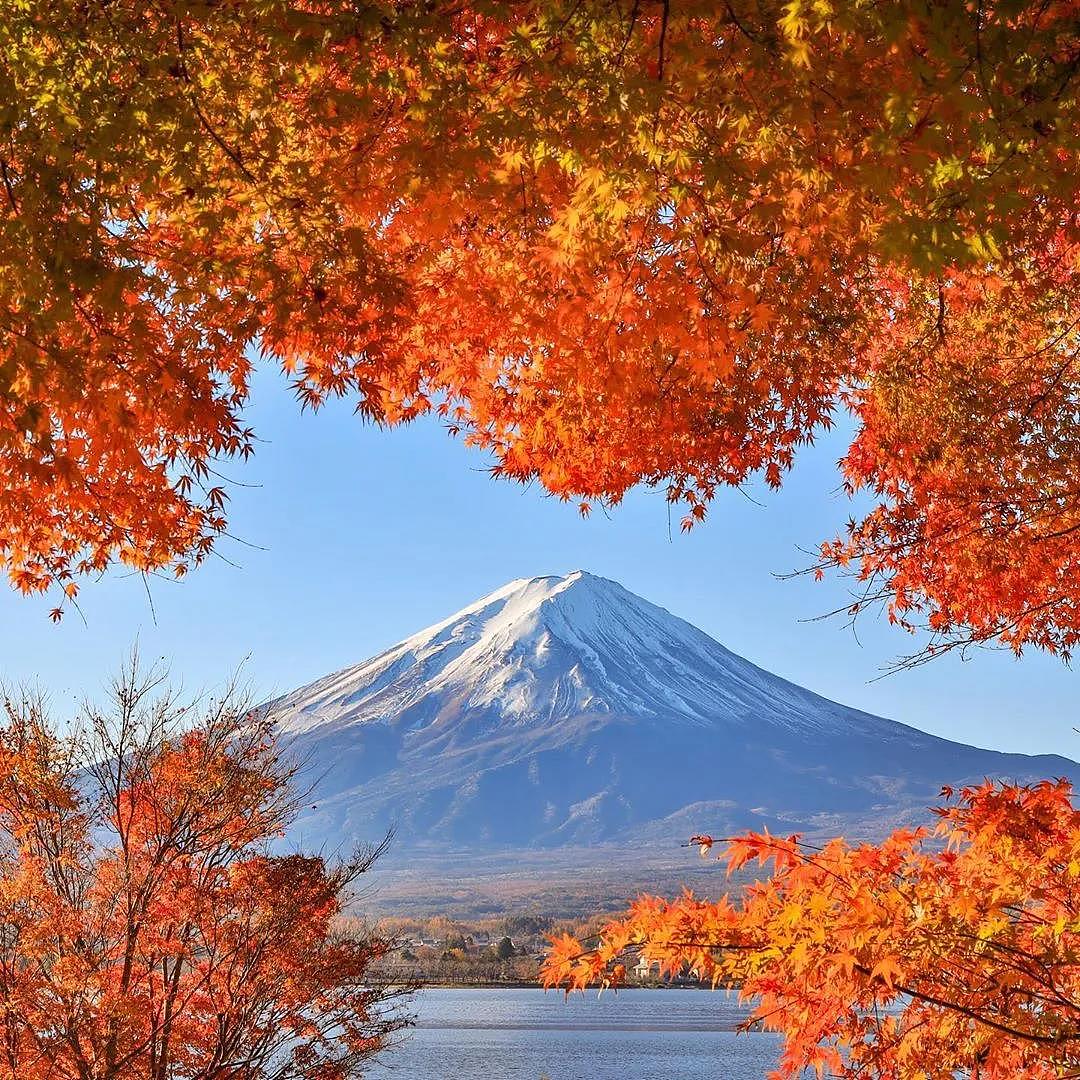 红色枫叶掩映下的绝美富士山