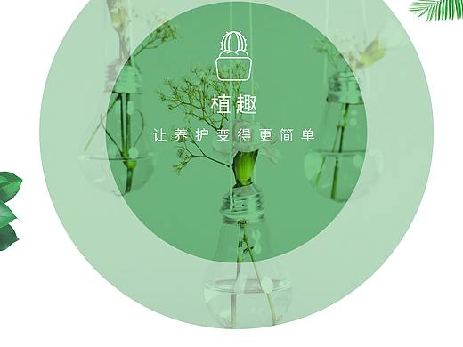 植趣APP 视觉效果