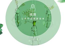 绿植APP