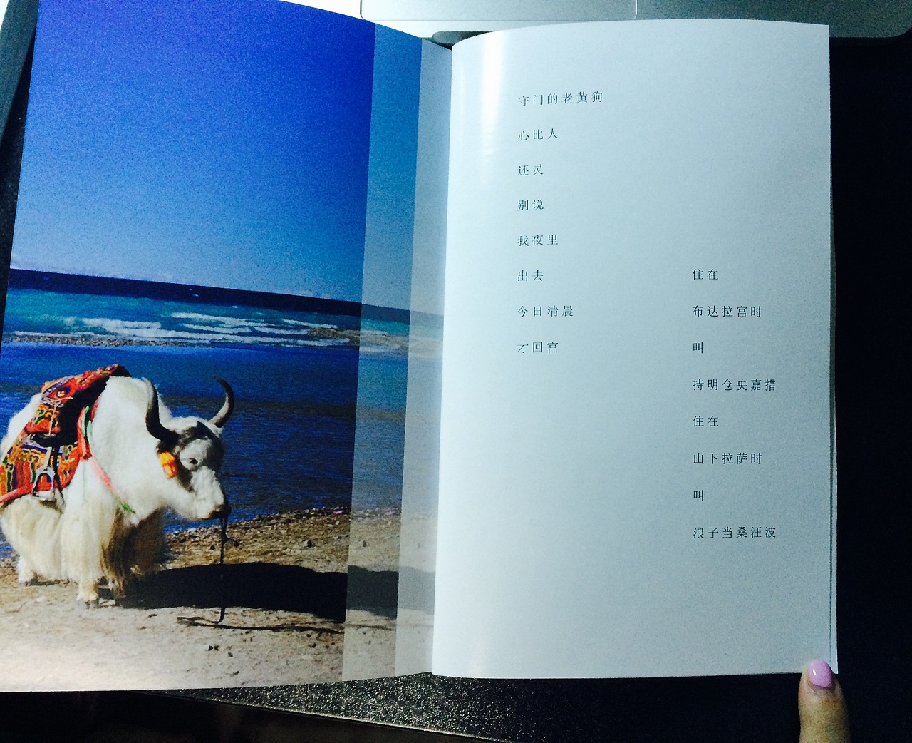 书籍装帧内页，蓝色色调，点线面结合。