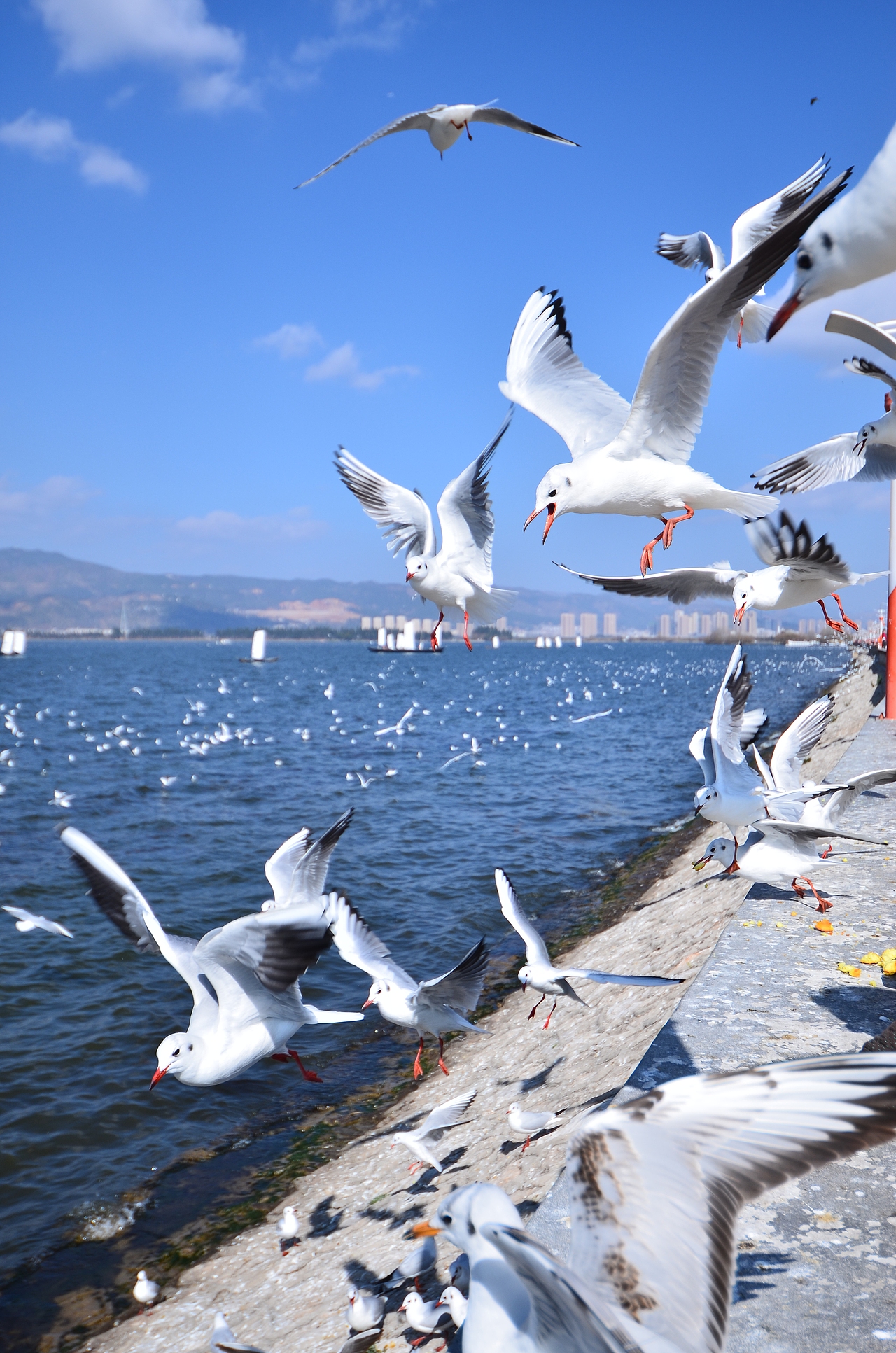 云南昆明——海埂大坝