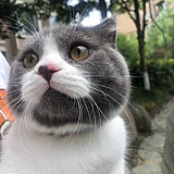 LQQ191125的头像