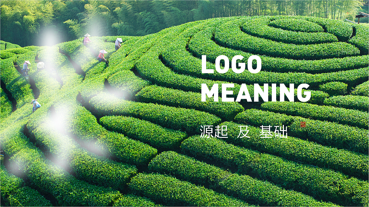 一山 · 元茶 YEARNTEA