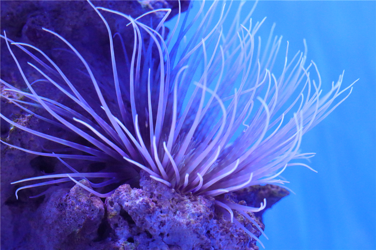 Zhangxueqin的個人主頁（封面預(yù)覽） - 主頁封面設(shè)置 - 站酷設(shè)計師Zhangxueqin原創(chuàng)素材 - 站酷ZCOOL