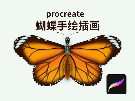 procreate手绘视频《破茧成蝶》