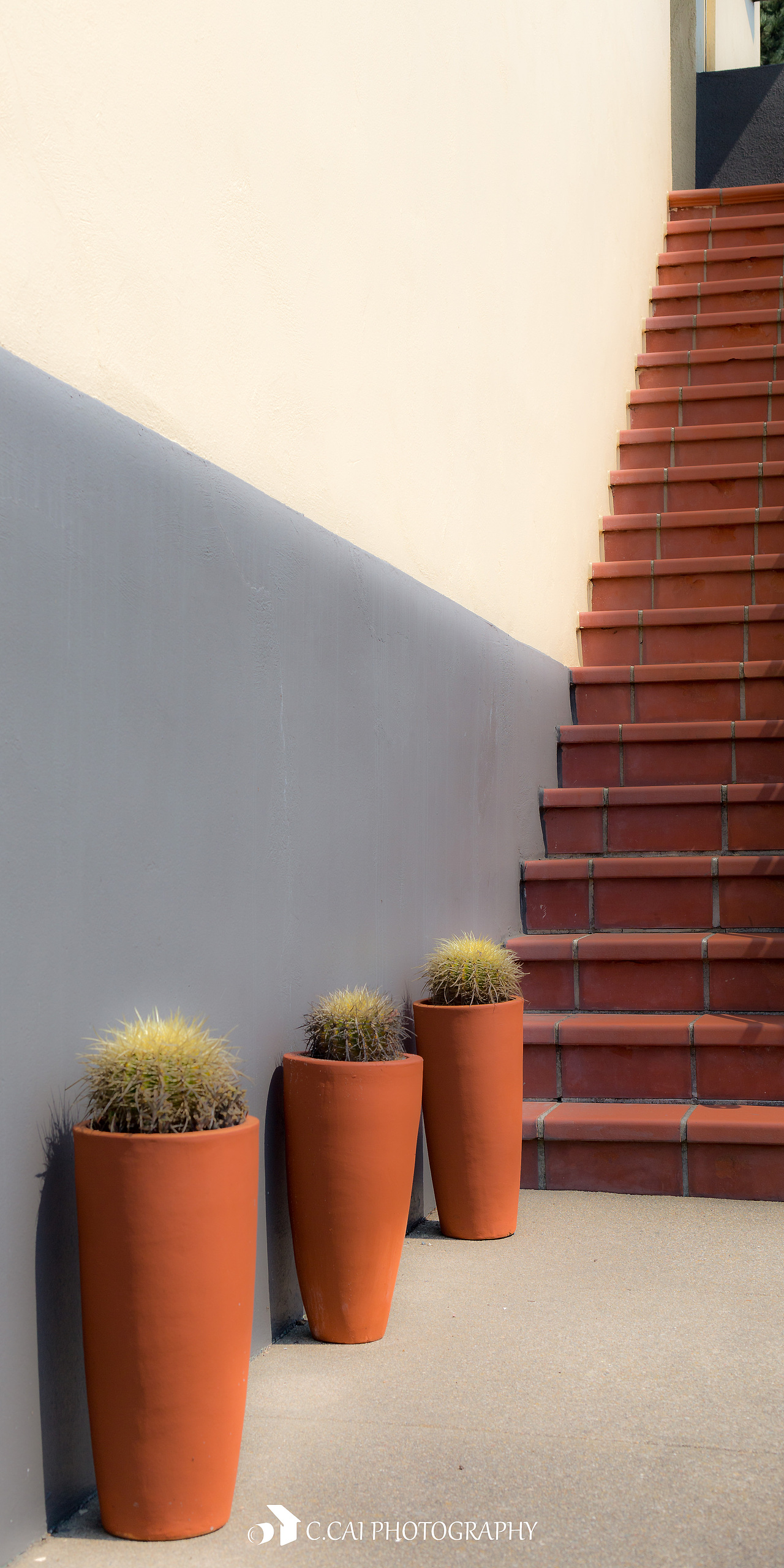 Hillside of San Francisco / 旧金山小区（图ZMTQxMDQ2ODk2） - 环境/建筑摄影 - 站酷设计师像导XiangDao原创素材 - 站酷ZCOOL