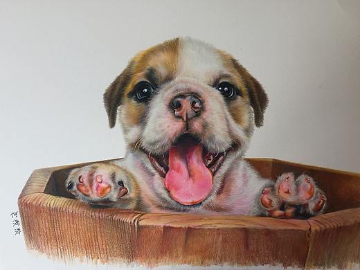 狗
