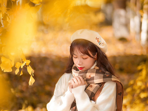 入秋了，去拍一组银杏吧！