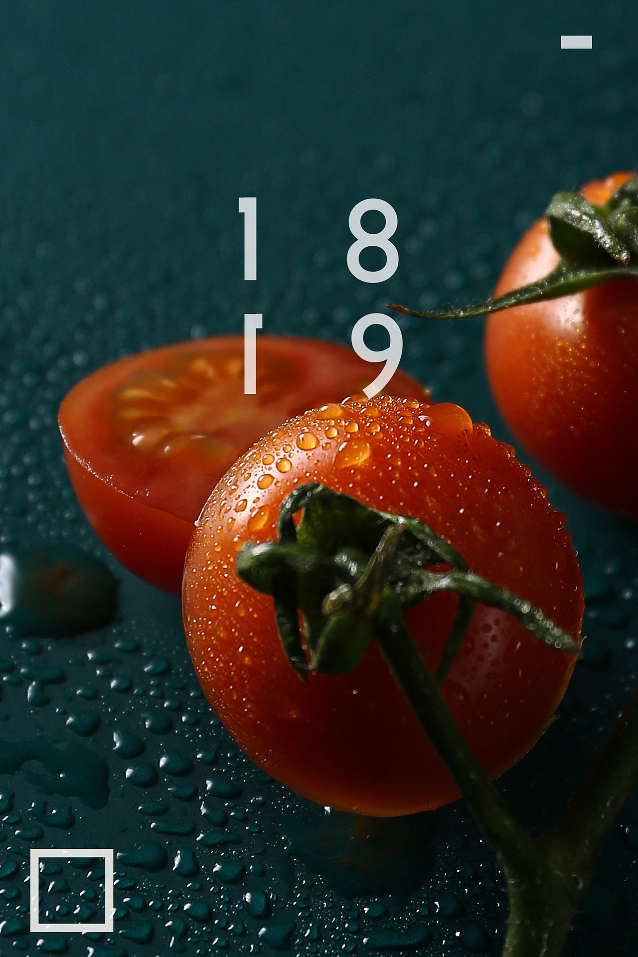 1819摄影工作室 水果静物美食拍摄