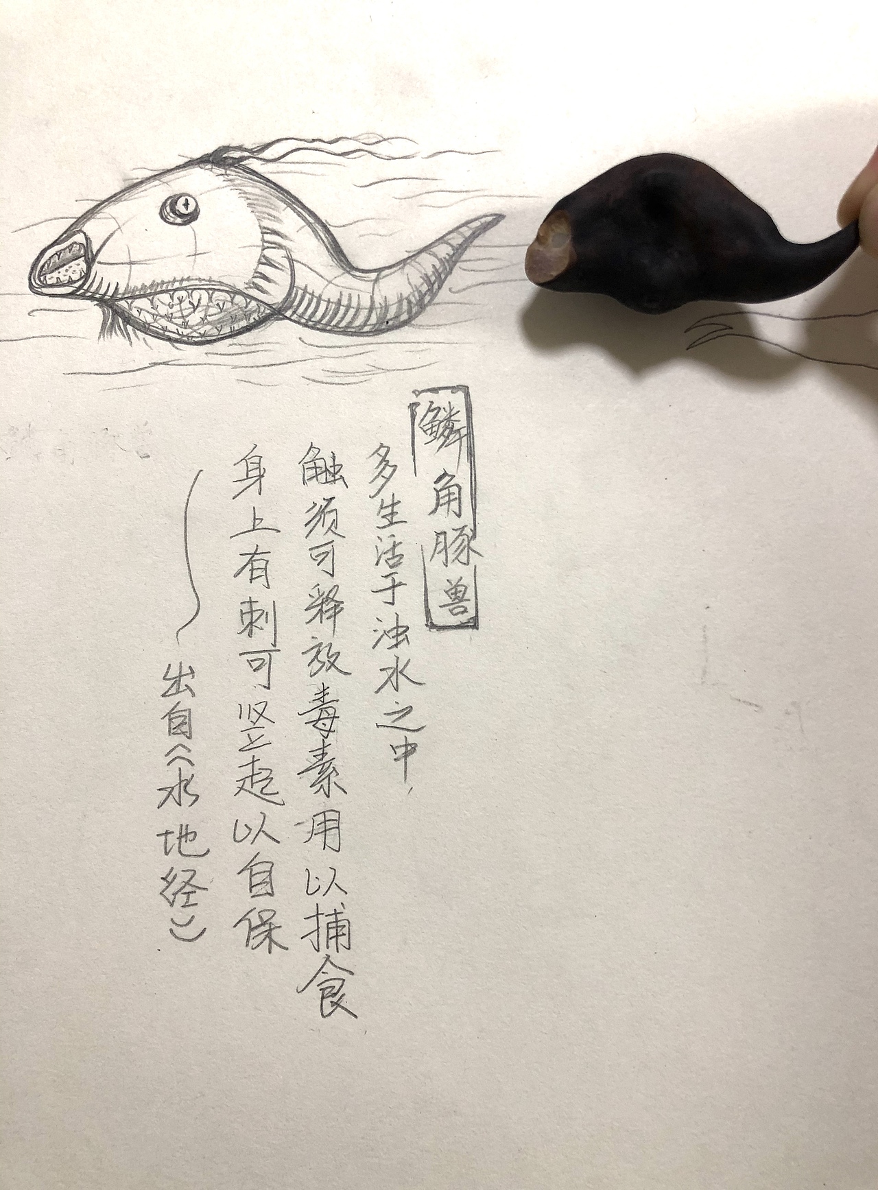 《水地经》概念角色创作