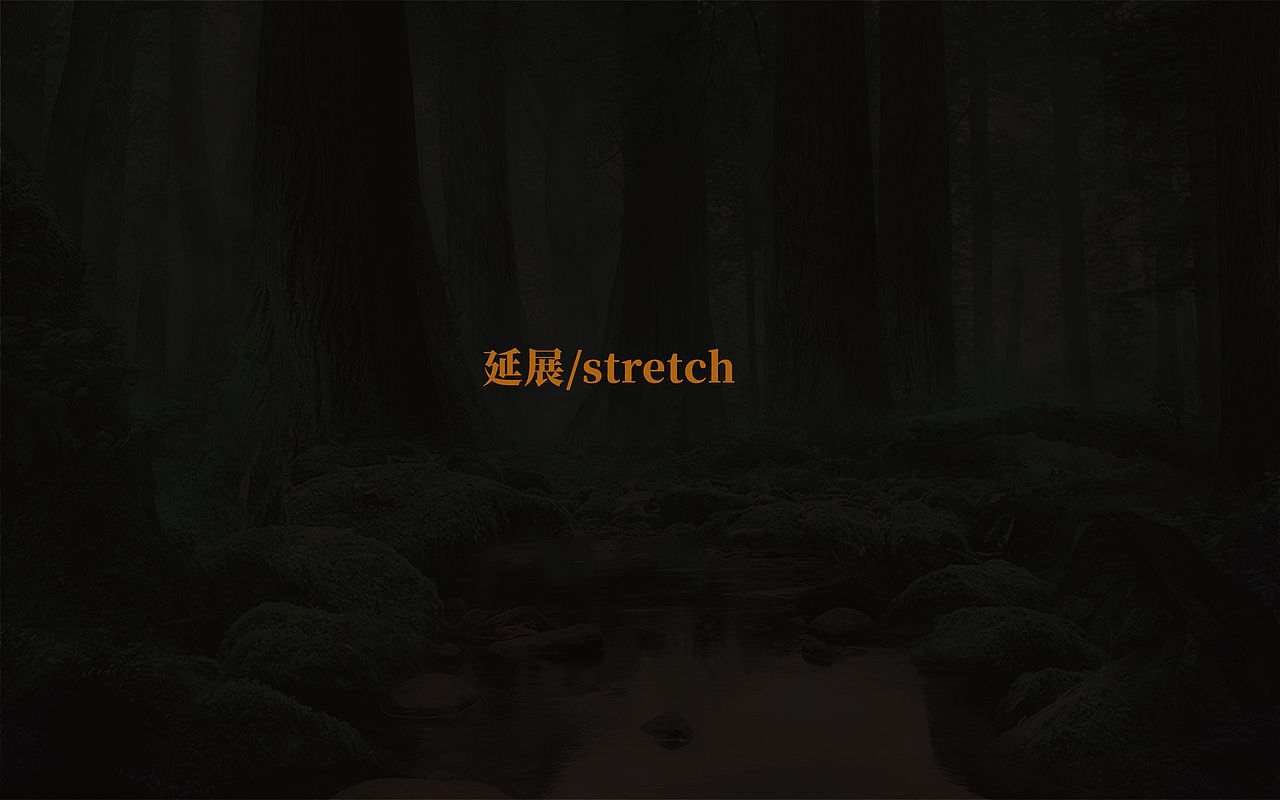 冰岛古树茶/云南拉祜族普洱