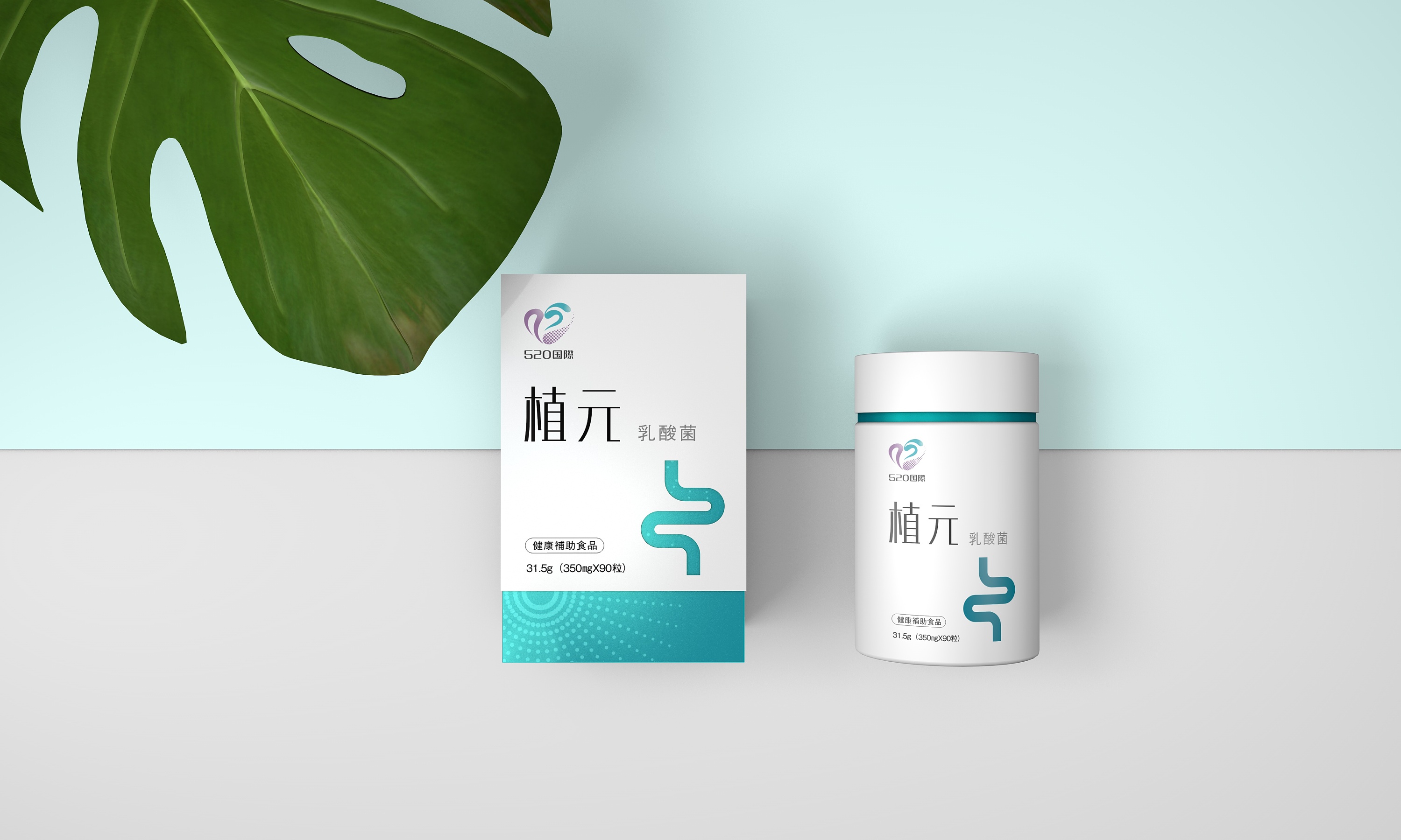 520国际保健品包装