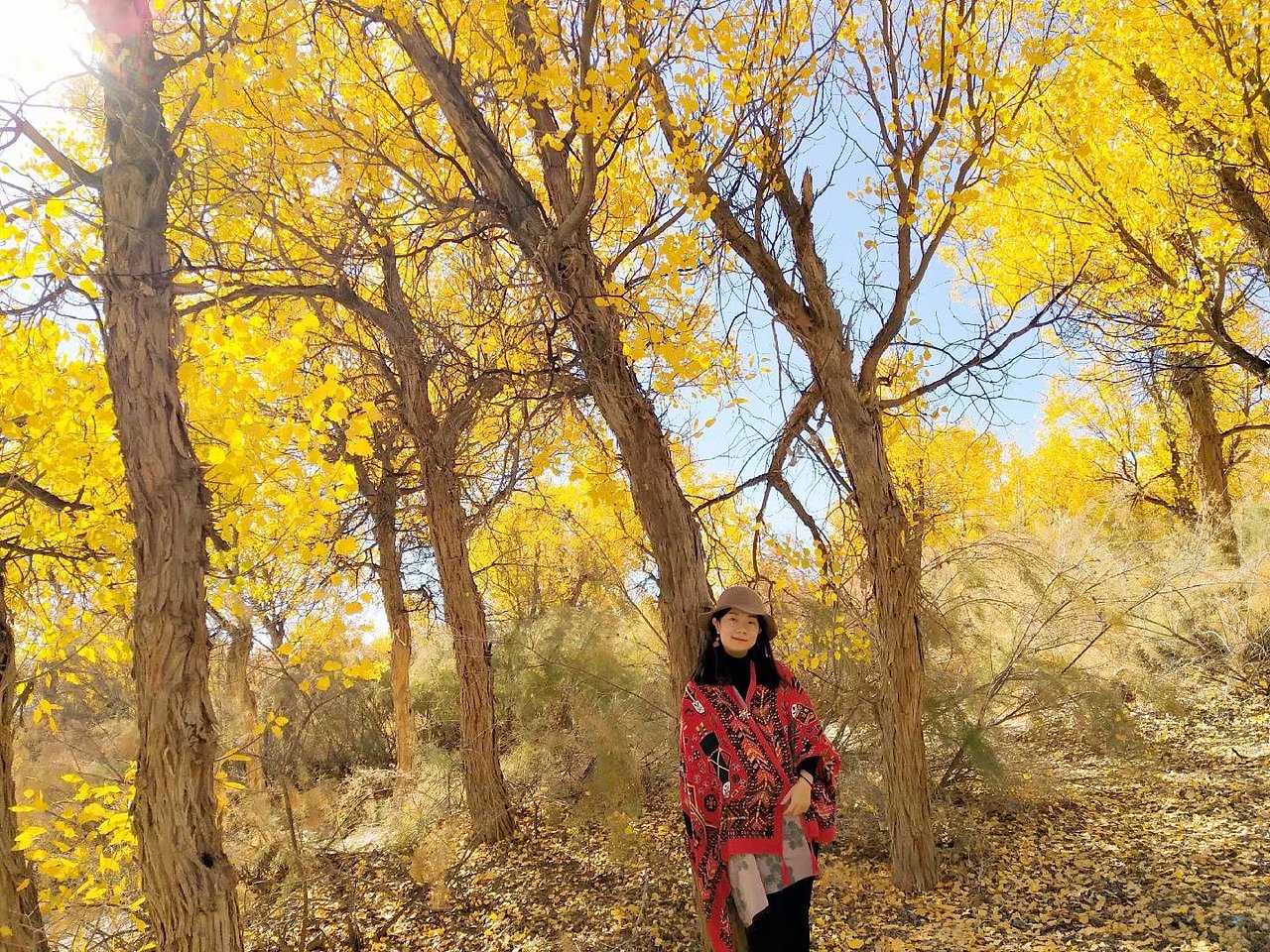 秋天的童话--金塔胡杨林