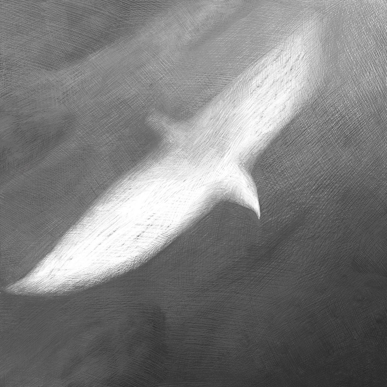 落脚在一处埋地里的半个头颅上