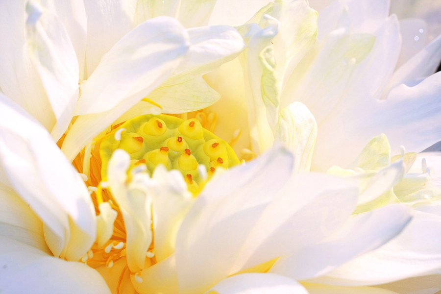 黄仕强的个人主页（背景预览） - 主页背景设置 - 站酷设计师黄仕强原创素材 - 站酷ZCOOL