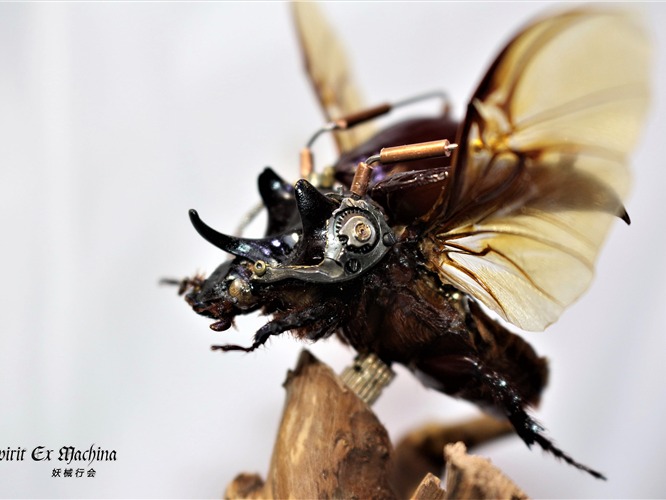 呼啸系列三角龙兜虫蒸汽昆虫