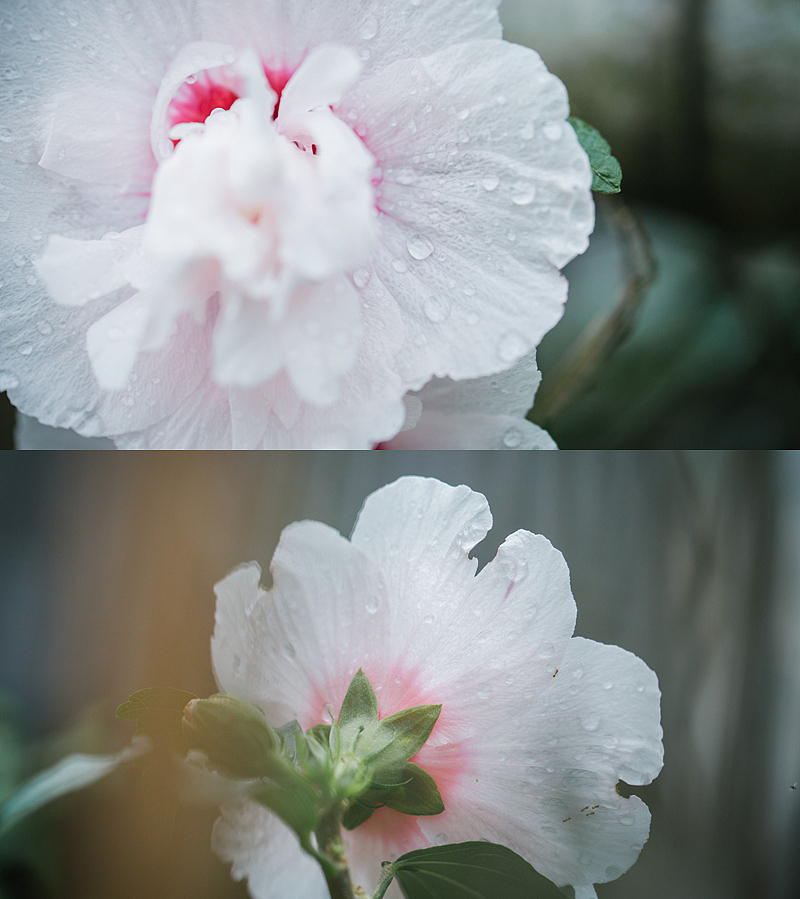 如果雨不难过,伞就要难过了