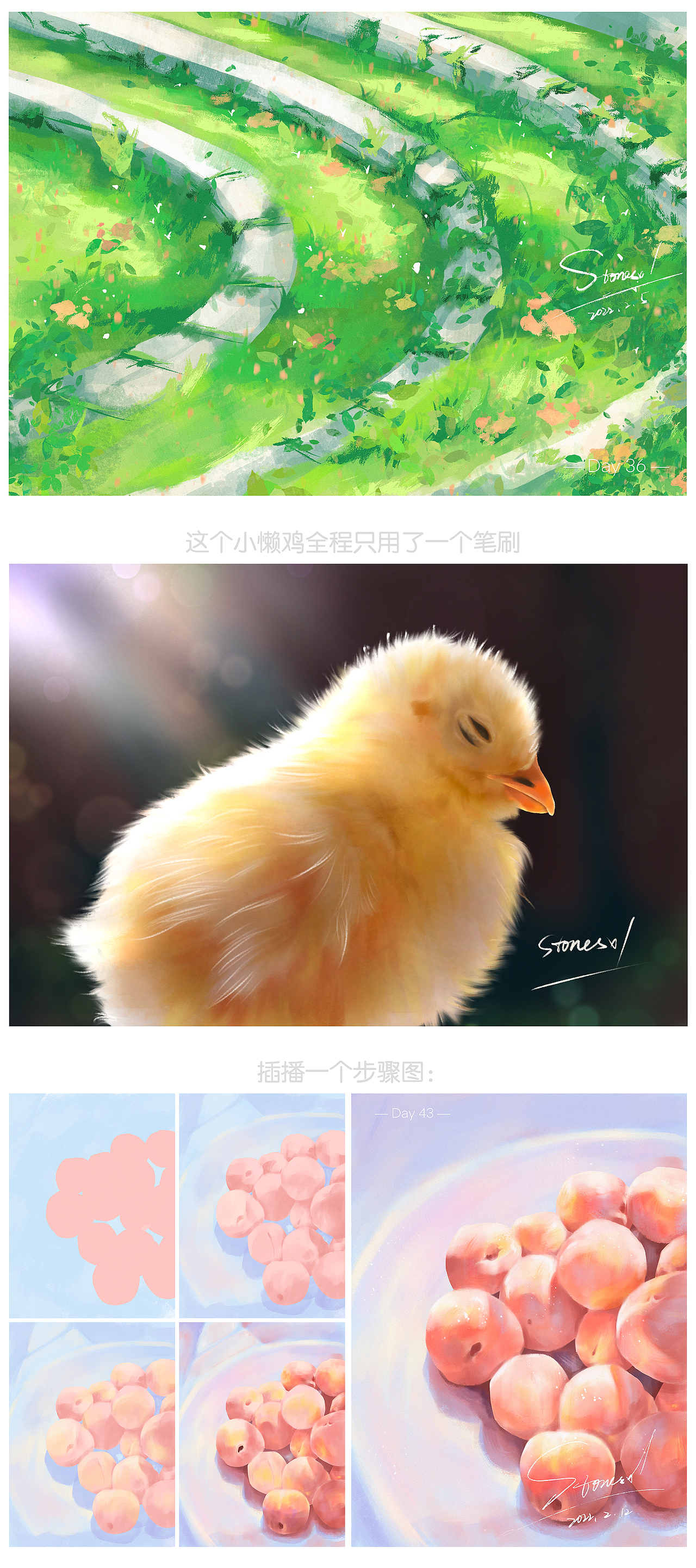 色彩60天合集（图ZMjkzNjU1ODQ4） - 创作习作 - 站酷设计师stonesxl原创素材 - 站酷ZCOOL